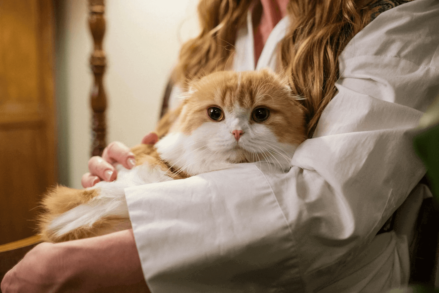 Women Sitting with a Cat
